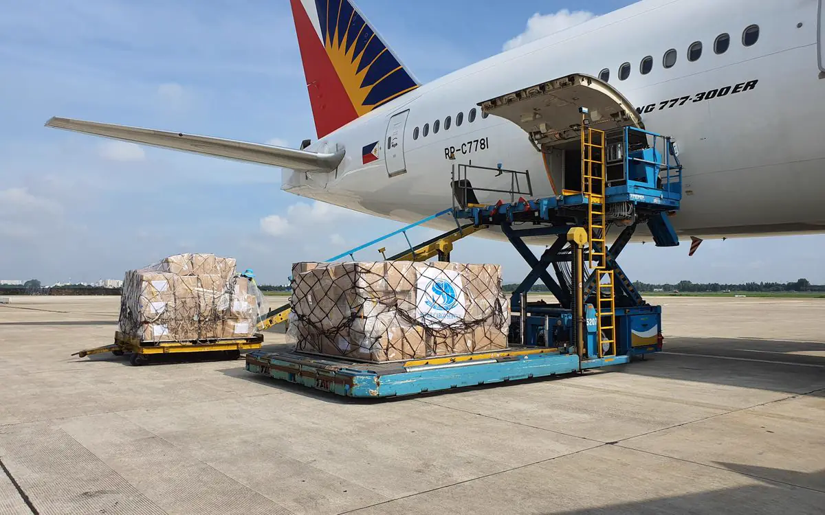 Personal de tierra cargando paletas de carga aérea envueltas en plástico en la bodega de un avión de fuselaje ancho